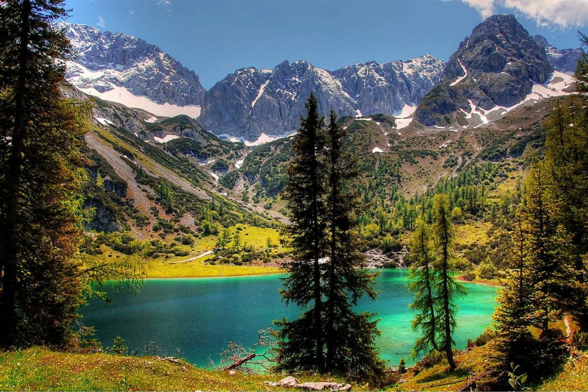 Appartmenthaus Birkenwald سيفيلد ان تيرول المظهر الخارجي الصورة