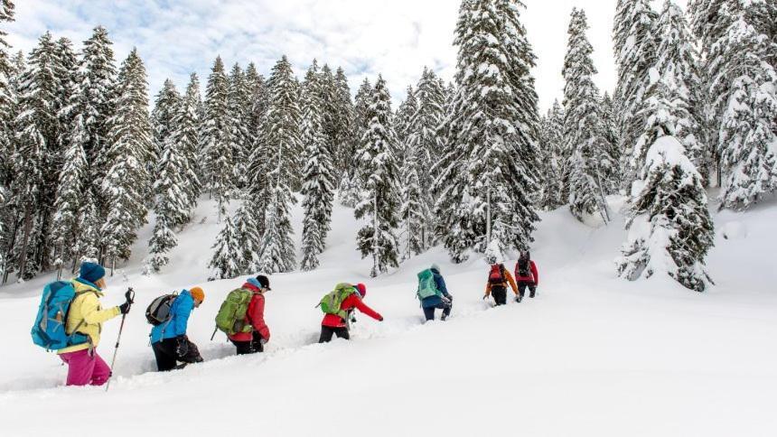 Appartmenthaus Birkenwald سيفيلد ان تيرول المظهر الخارجي الصورة